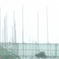 何意盈