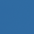 刘楚君
