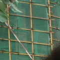 龙鑫良