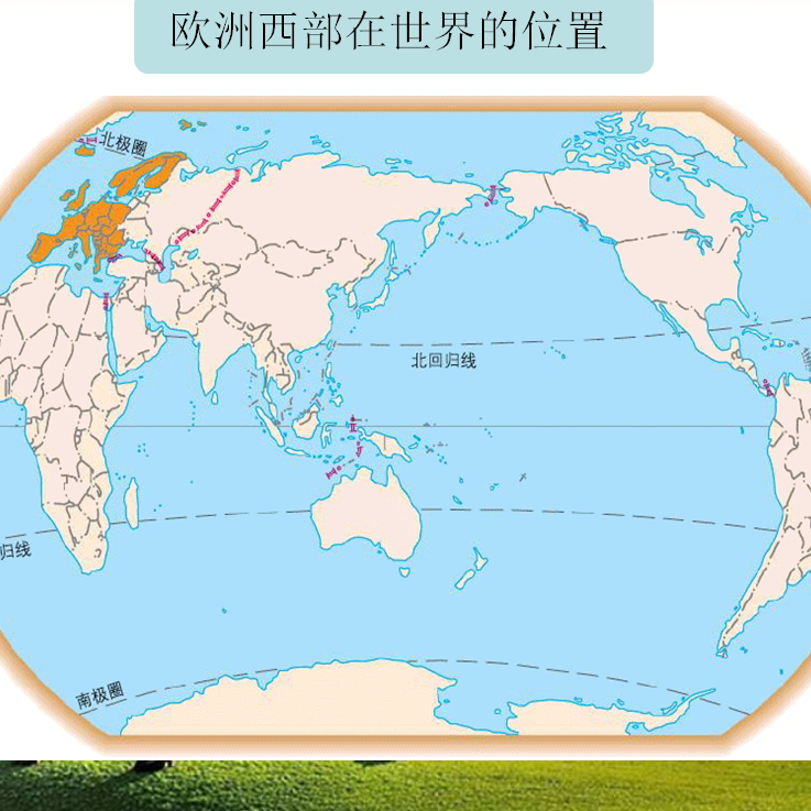 孙莉